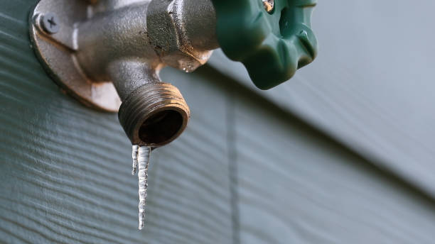 Best Same-Day Plumbing Service  in Shadow Lake, WA